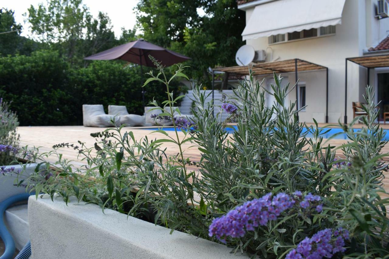 Serenity Luxury Villa, Skiathos Aya Paraskevi Dış mekan fotoğraf